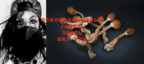 молекула духа Балахна