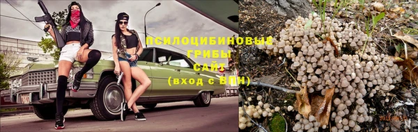 молекула духа Балахна