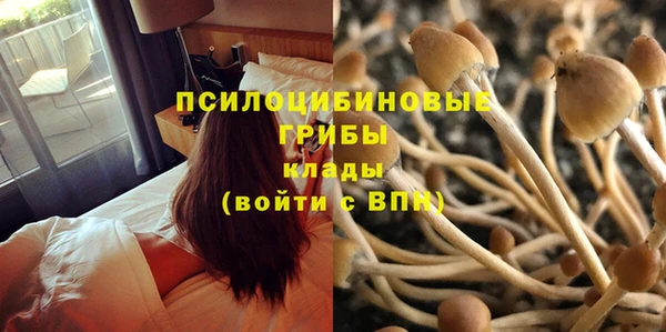 молекула духа Балахна