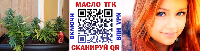 что такое   Плёс  ТГК концентрат 